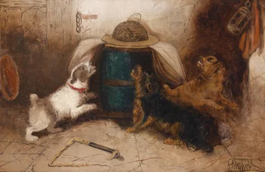 Three Dogs Barking at a Mouse